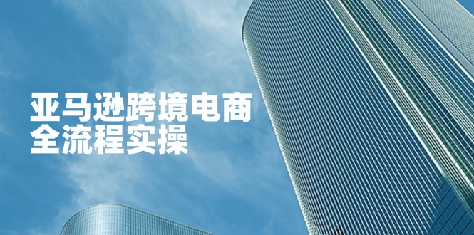（14252期）亚马逊跨境电商全流程实操，教你从零开始，掌握店铺运营与广告技巧-网创168