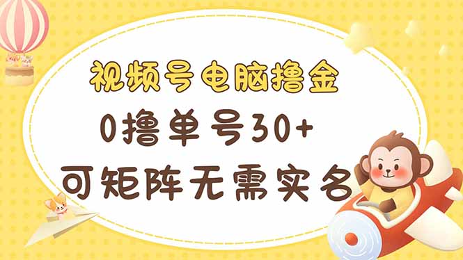 （14220期）视频号电脑撸金 0撸单号30+ 可矩阵 无需实名多号多得-网创168
