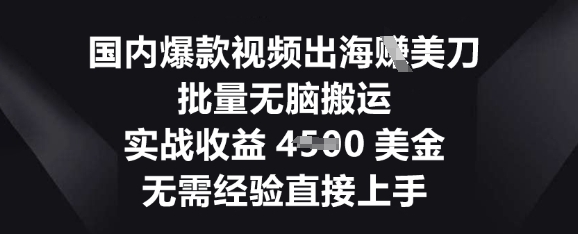国内爆款视频出海挣美刀，批量无脑搬运，实战收益4.5k，无需经验直接上手-网创168