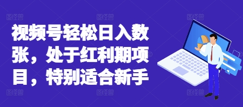 视频号轻松日入数张，处于红利期项目，特别适合新手-网创168