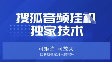 【搜狐音频挂G】独家技术，可矩阵可放大，红利期稳定月入8k【揭秘】-网创168