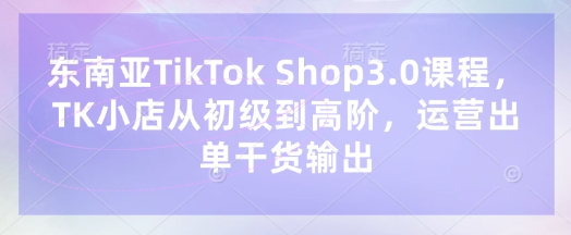 东南亚TikTok Shop3.0课程，TK小店​从初级到高阶，运营出单干货输出-网创168