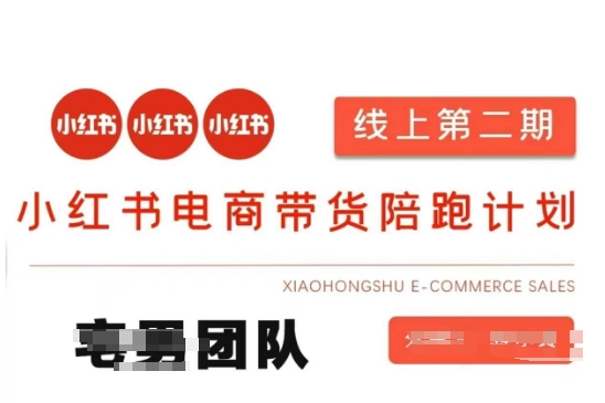 小红书电商带货课2期，月利润20个的小红书电商的有货源，无货源，虚拟产品，付费投流等整套玩法-网创168