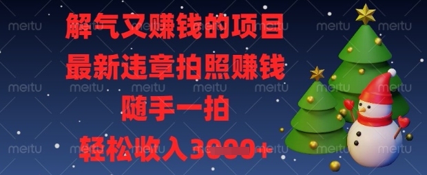 解气又挣钱的项目，最新违章拍照挣钱，随手一拍，轻松收入数张【揭秘】-网创168